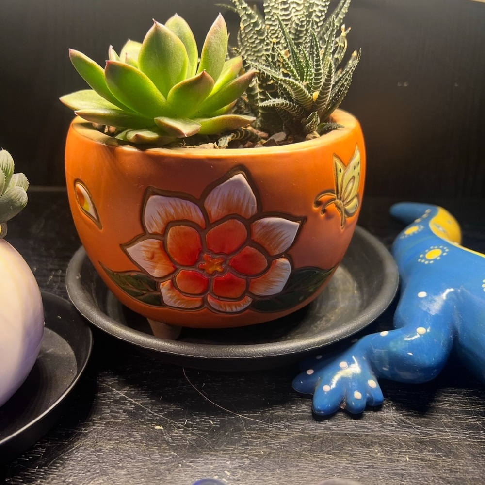 ❤️TWO SUMMER IMPRESSIONS POTS ORANGE🌹 - Picture 5 of 7